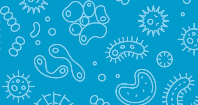 How to stay safe from germs with i-team global solutions